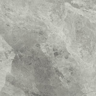 Керамогранит 610010001687 Charme Extra Silver 80x80