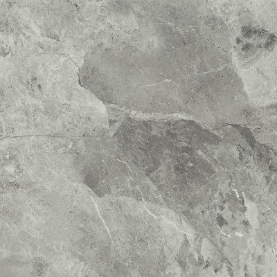 Керамогранит 610010001687 Charme Extra Silver 80x80