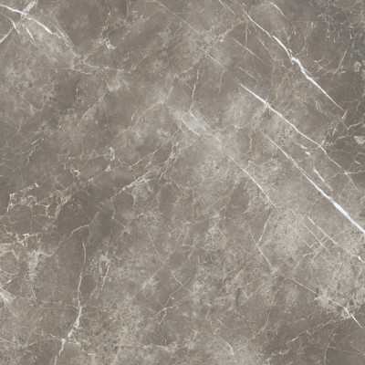 Керамогранит ECB2 Persian Grey Silk RT 120x120