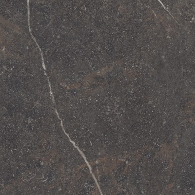 Керамогранит 42819 Royal Brown/100X100X0,8/A/R 100x100