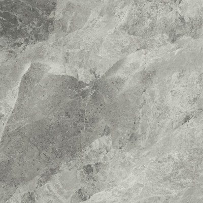 Керамогранит 610010001687 Charme Extra Silver 80x80