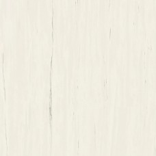 Керамогранит A204 Marvel Bianco Dolomite 120x120