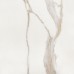 Керамогранит K5A2 Calacatta Gold Silk RT 120x120
