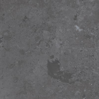 Керамогранит DD640800R Про Лаймстоун серый темный натуральный обрезной R10 60х60