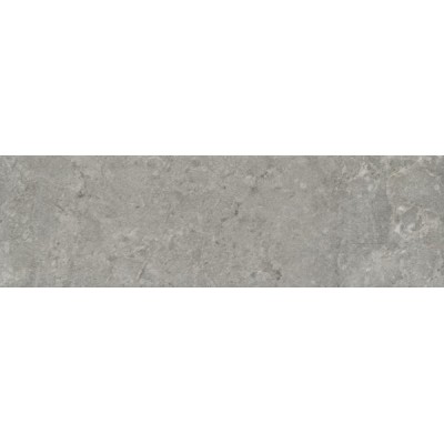 Плитка 9049 Борго серый матовый 8,5x28,5