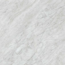 Керамогранит JN2H Versilia Bardiglio Silver Silk RT 60x60